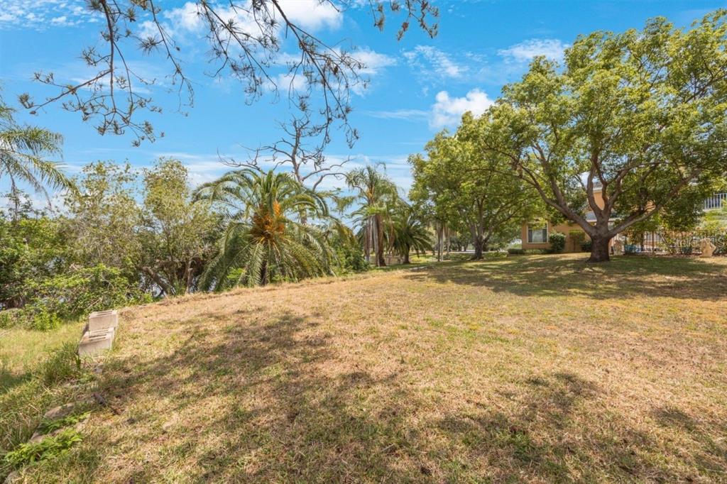 A grassy yard with scattered trees and palm trees under a bright blue sky — Lot #24 SAIL HARBOR CIRCLE LANE, TARPON SPRINGS, FL