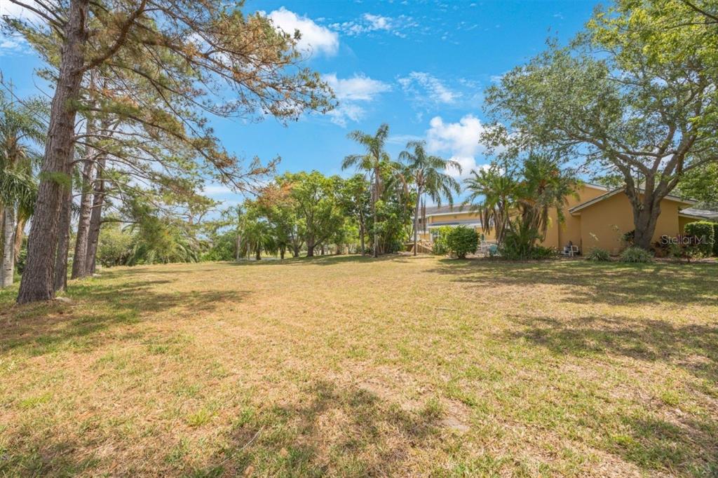 A large, grassy backyard features mature pine and palm trees next to a yellow house — Lot #24 SAIL HARBOR CIRCLE LANE, TARPON SPRINGS, FL