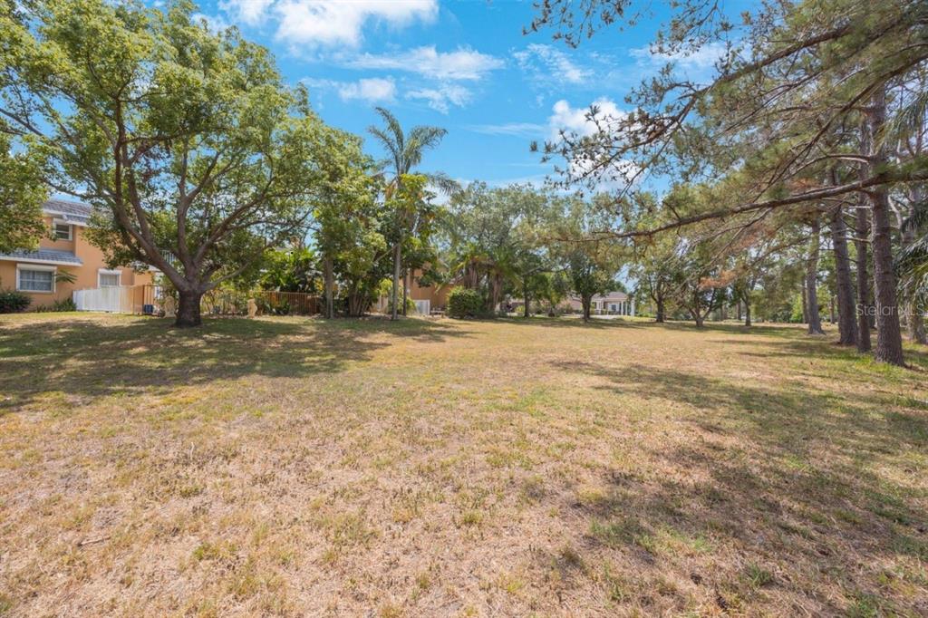 A large, grassy backyard features mature trees and a multi-story residential building in the background — Lot #24 SAIL HARBOR CIRCLE LANE, TARPON SPRINGS, FL