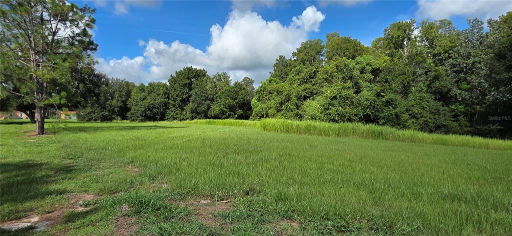 A large, grassy, undeveloped lot is bordered by a dense line of mature trees — BELLERIVE DRIVE, CLERMONT, FL