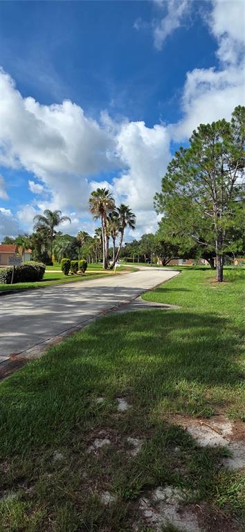 A paved road winds through a sunny residential neighborhood with palm trees and green lawns — BELLERIVE DRIVE, CLERMONT, FL