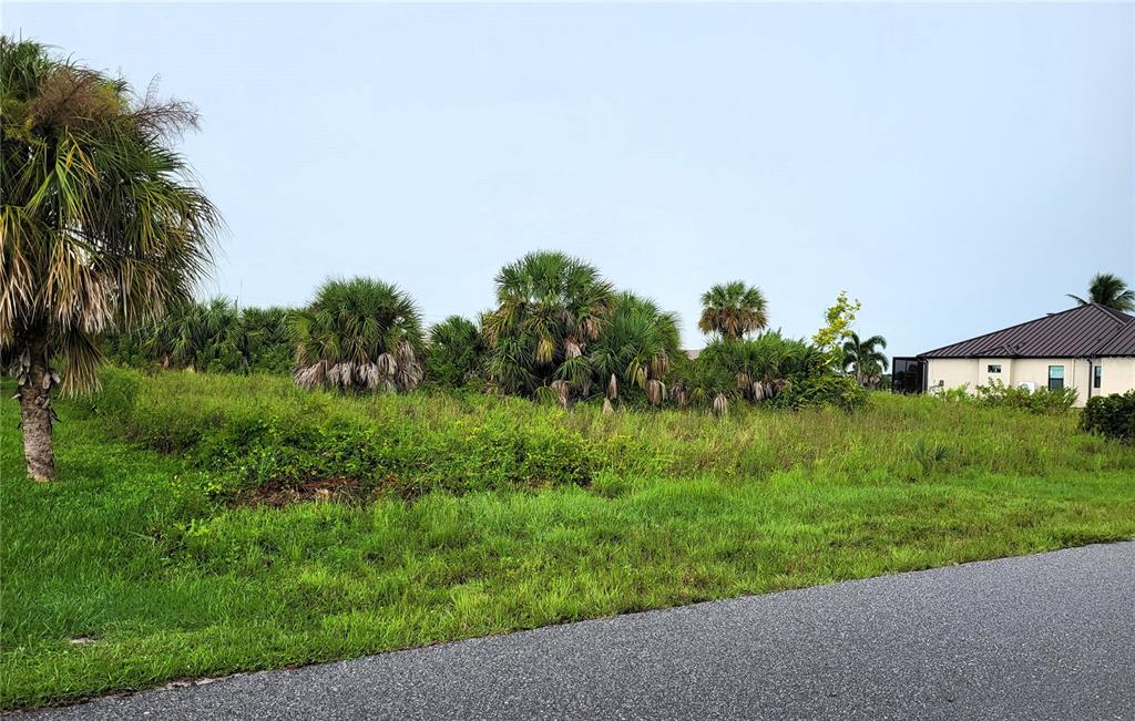 A grassy, undeveloped lot features scattered palm trees and shrubs next to a paved road — 9316 GALAXIE CIRCLE, PORT CHARLOTTE, FL