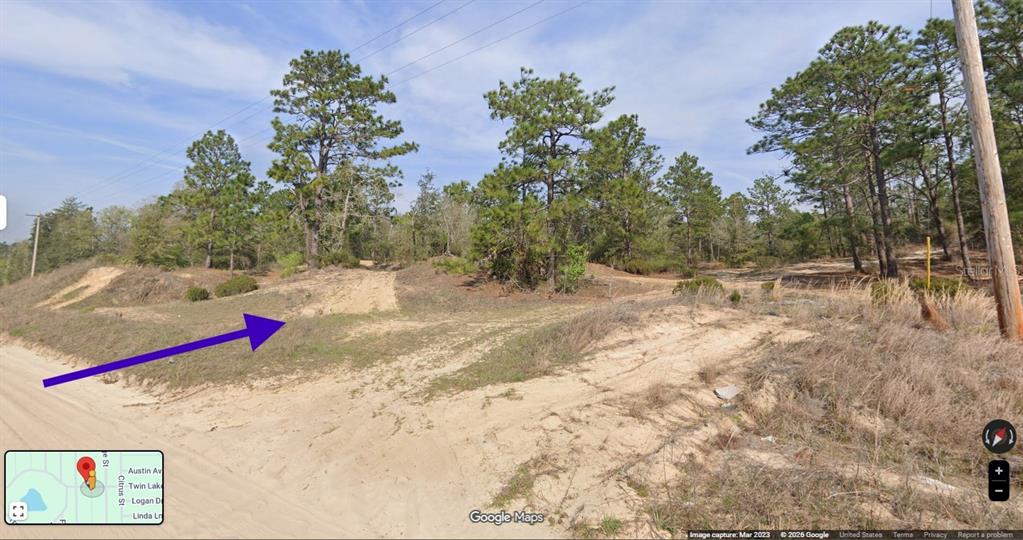 A vacant, sandy lot with sparse vegetation and pine trees under a clear blue sky — 1402 TWIN LAKES BLVD, INTERLACHEN, FL