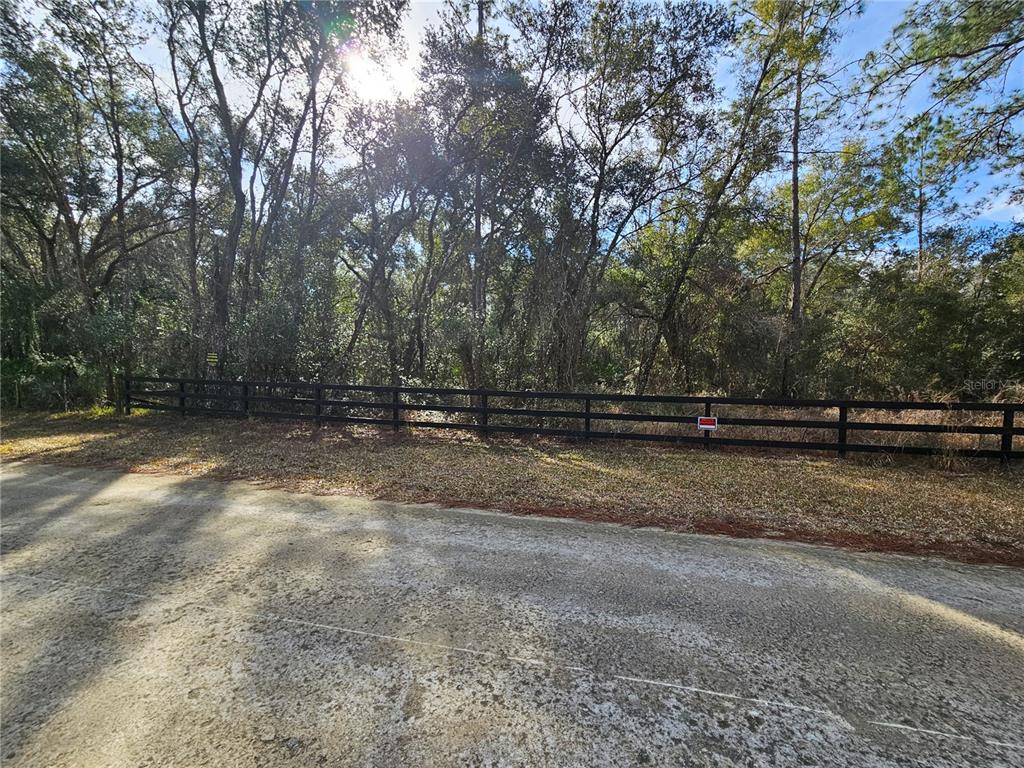 A black wooden fence borders a wooded lot along a paved road — ROSEHILL DRIVE, WEBSTER, FL