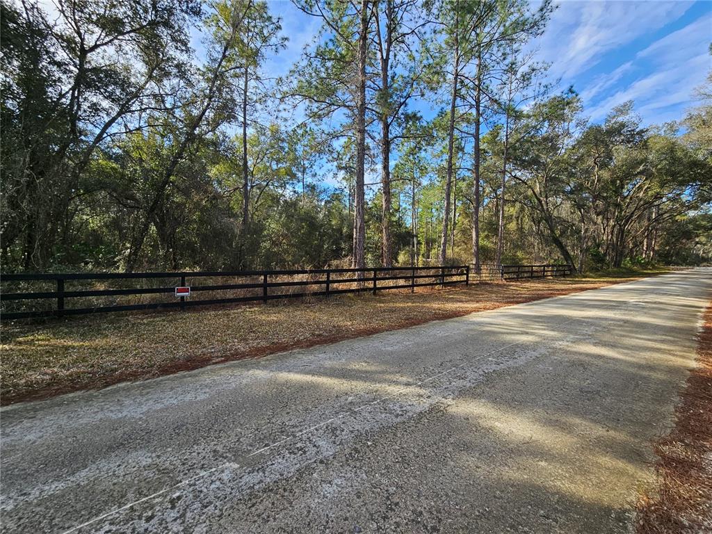 A black wooden fence lines a paved road bordering a wooded lot — ROSEHILL DRIVE, WEBSTER, FL