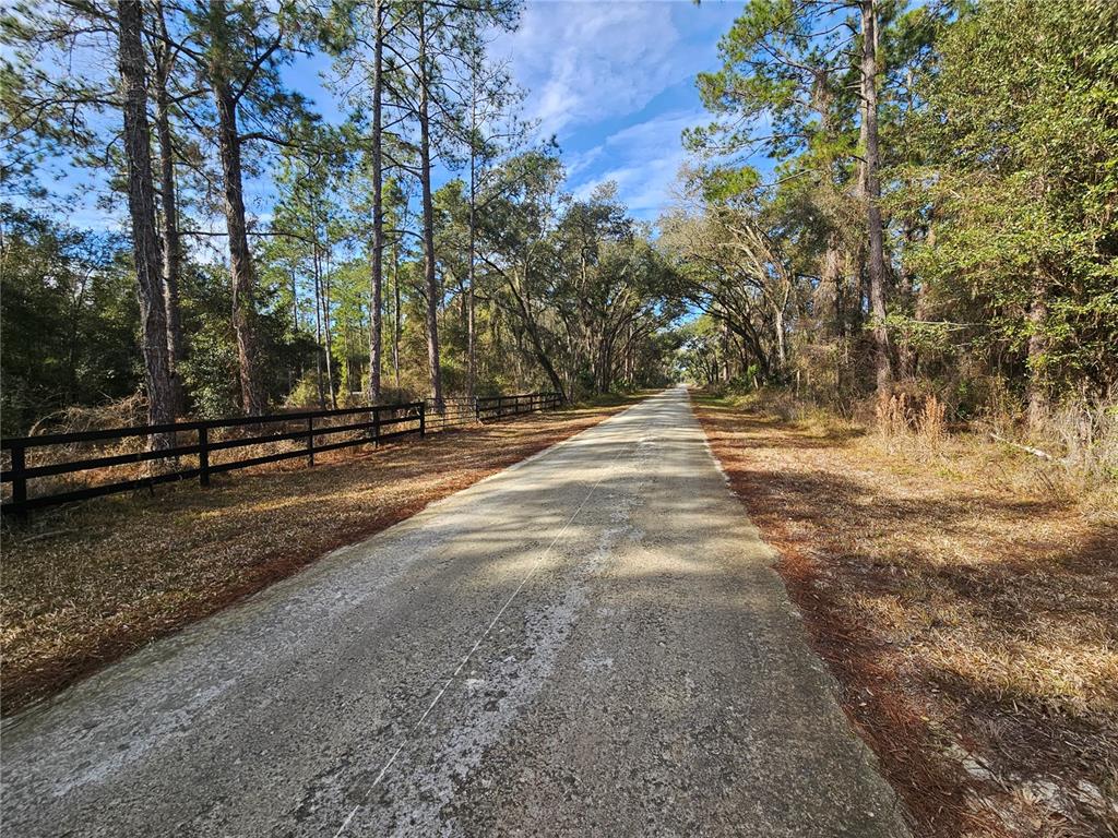 A paved road runs through a wooded area lined with a black wooden fence — ROSEHILL DRIVE, WEBSTER, FL