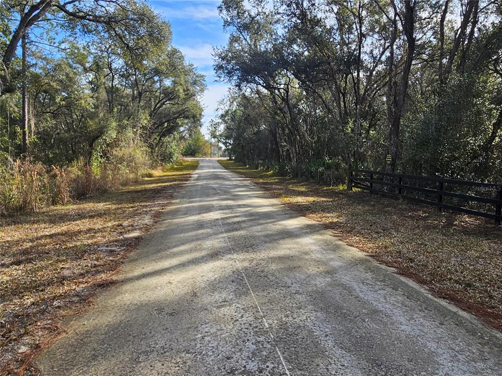 A paved road stretches through a wooded area with a black fence on the right — ROSEHILL DRIVE, WEBSTER, FL