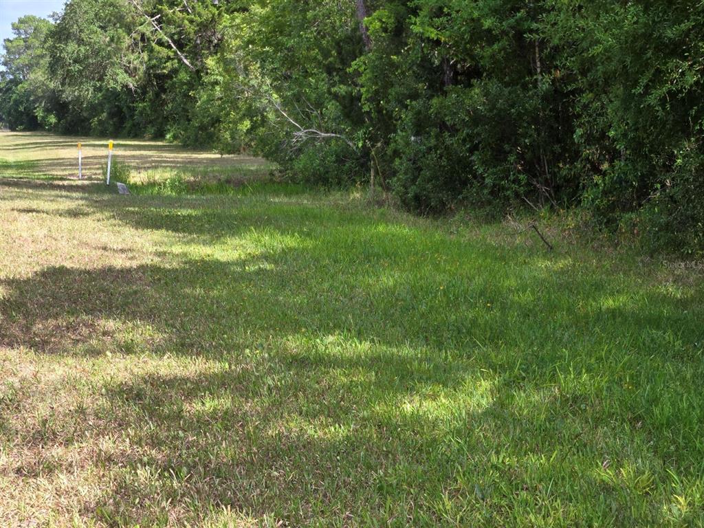 A grassy lot bordered by a dense line of trees and two yellow survey markers — 1925 CR-13, BUNNELL, FL