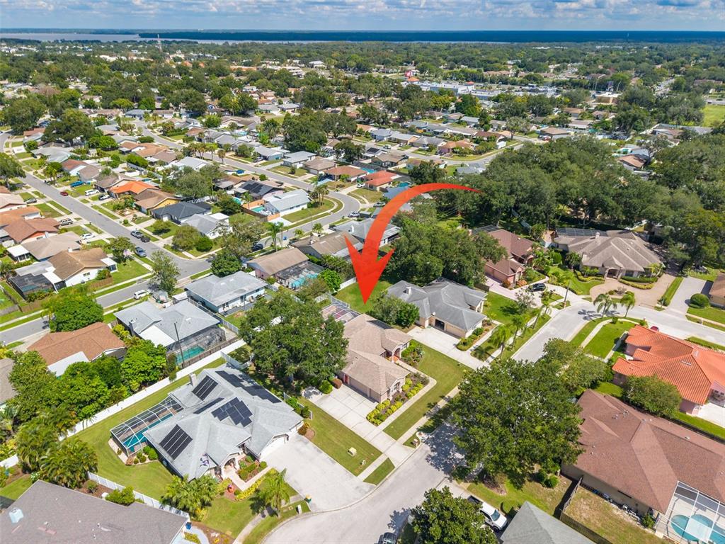 1555 SUNRAY DRIVE, PALM HARBOR, FL — photo 3 of 30