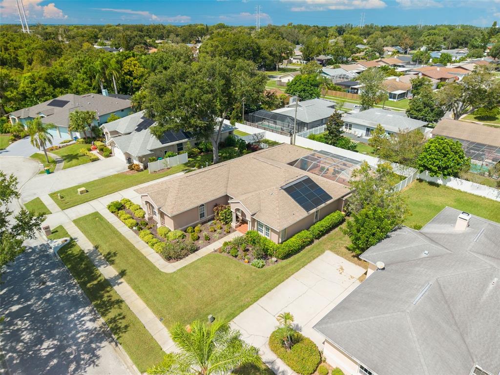1555 SUNRAY DRIVE, PALM HARBOR, FL — photo 5 of 30