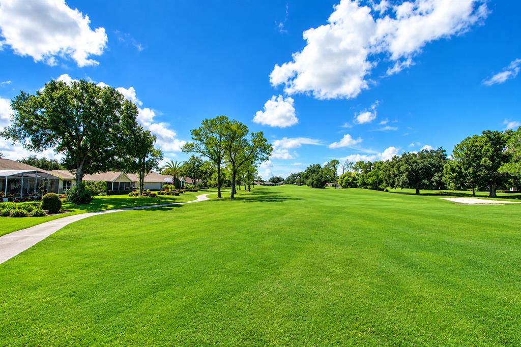 9036 LAUREL RIDGE DRIVE, MOUNT DORA, FL — photo 5 of 30