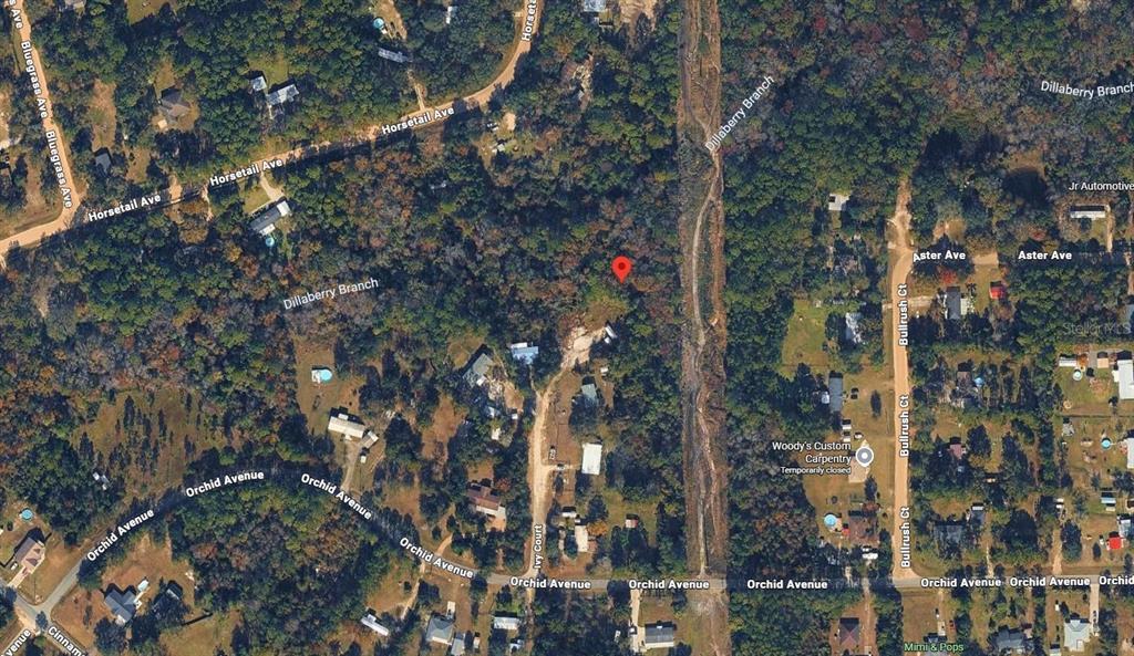 18 IVY COURT, MIDDLEBURG, FL — photo 5 of 5