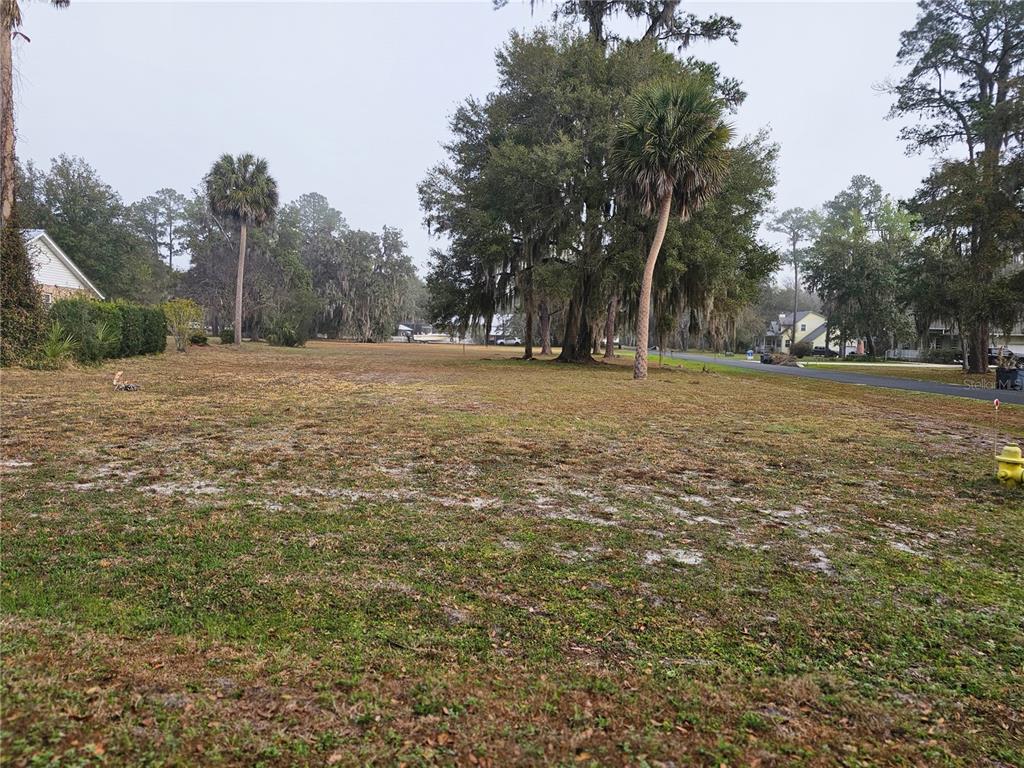 A large, grassy vacant lot features several tall trees and palm trees under a cloudy sky — 000 MOUNT ROYAL AVENUE, CRESCENT CITY, FL