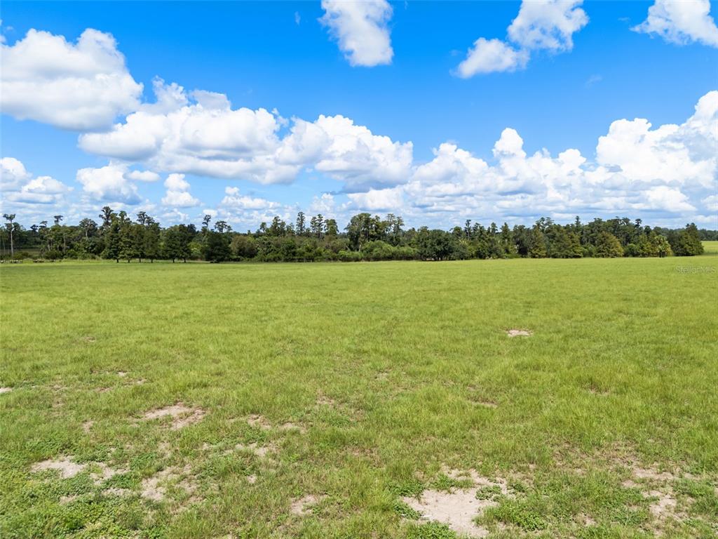 A wide, grassy field stretches toward a line of trees under a blue, cloudy sky — LAWS ROAD, CLERMONT, FL