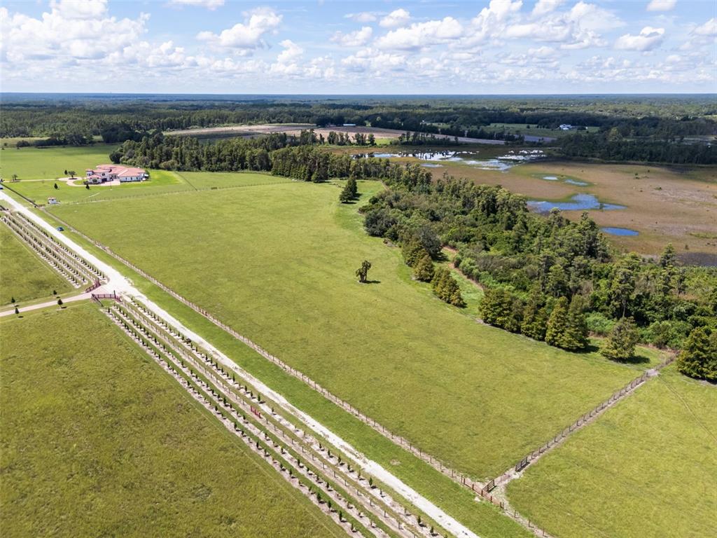 An aerial view shows a large grassy pasture bordered by a fence, trees, and wetlands — LAWS ROAD, CLERMONT, FL