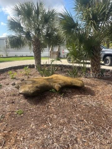 A large decorative rock sits in a mulched garden bed between two palm trees — 15136 NW 292ND STREET, OKEECHOBEE, FL
