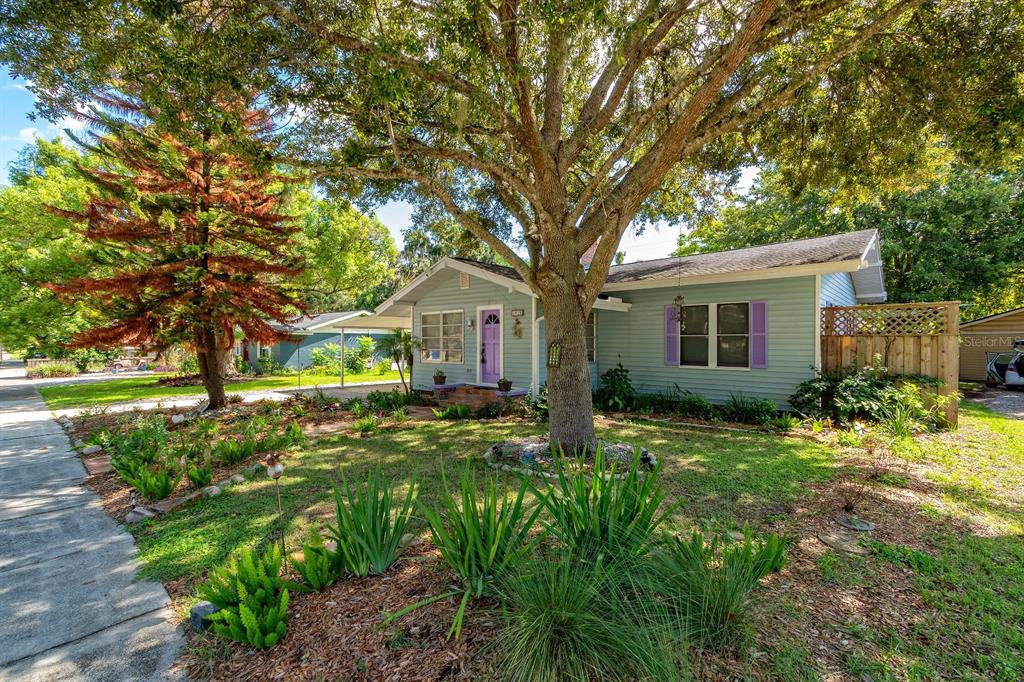 A light blue single-story house with a purple front door and a large front tree — 1919 S PALMETTO AVENUE, SANFORD, FL
