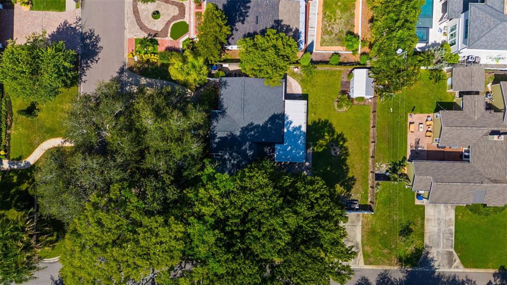 An aerial view shows a house with a large tree-filled yard and a neighboring property — 3401 W SEVILLA STREET, TAMPA, FL