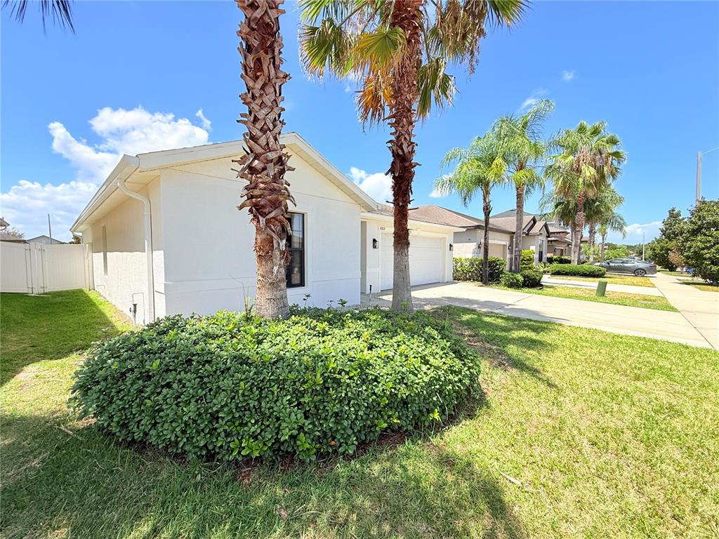 A white single-story house features a palm tree and a large shrub in the front yard — 14323 HADDON MIST DRIVE, WIMAUMA, FL