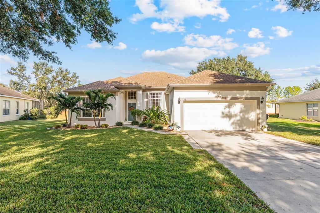 717 STRIHAL LOOP