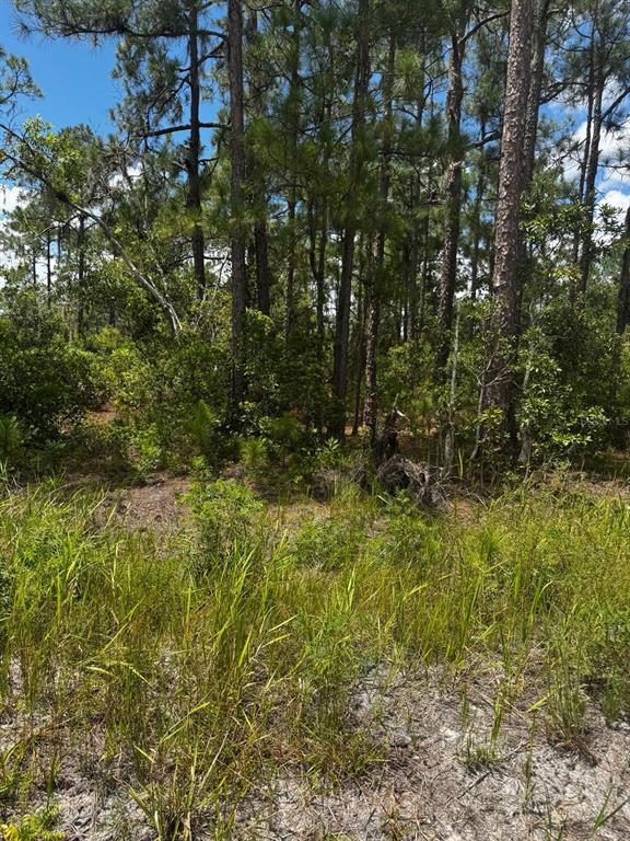 MCCLELLAN ROAD UNIT 48, FROSTPROOF, FL — photo 2 of 6