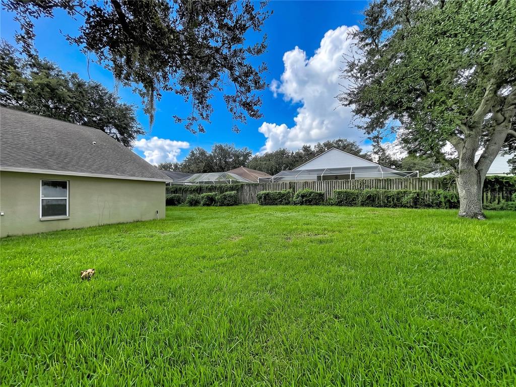 A grassy backyard features a tan house exterior, a wooden fence, and large shade trees — 1124 SPLIT SILK STREET, VALRICO, FL