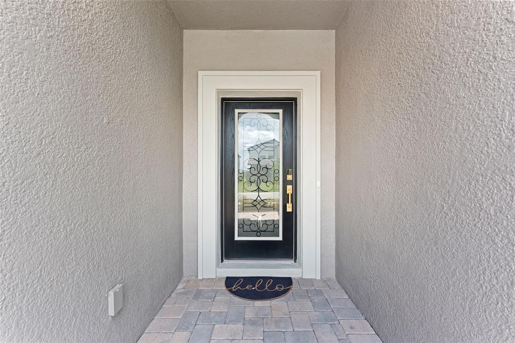A front entryway features a black door with decorative glass and a small welcome mat — 32034 SAPNA CHIME DRIVE, WESLEY CHAPEL, FL