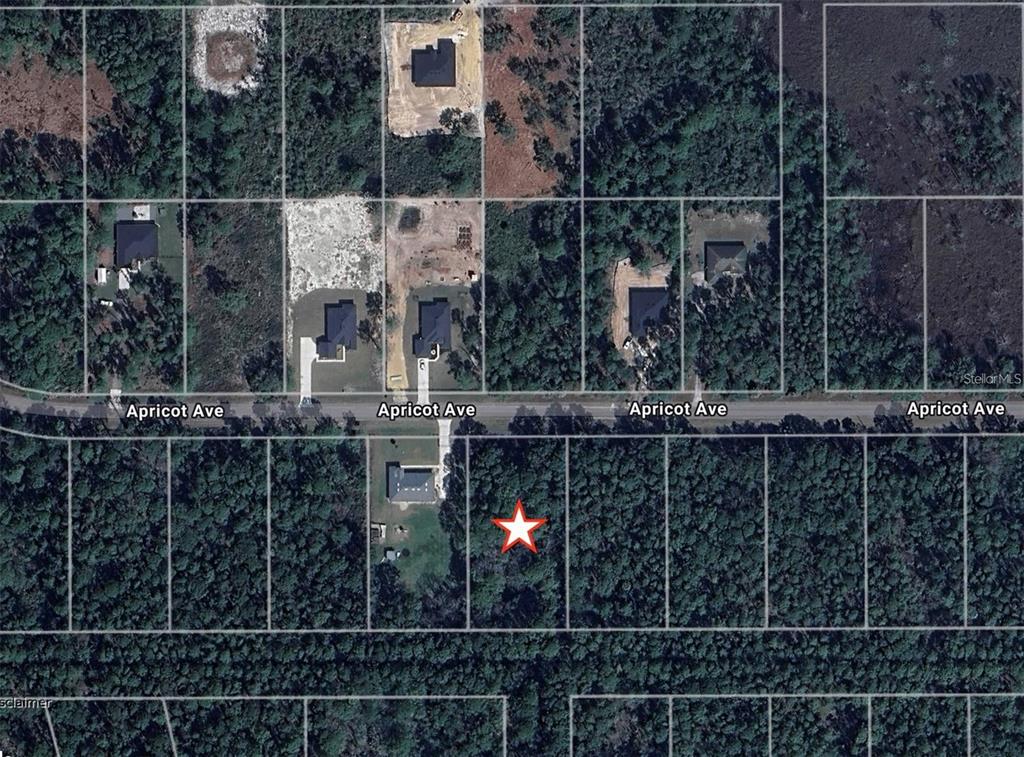 This aerial map shows a wooded residential lot marked with a star on Apricot Avenue — APRICOT AVENUE, EUSTIS, FL