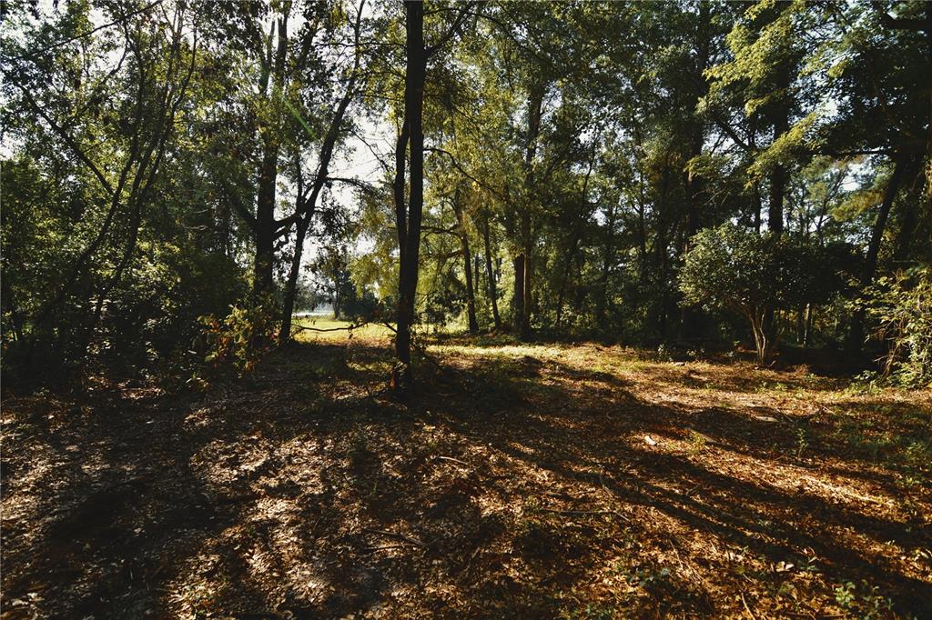 A wooded lot with scattered trees and a clearing under a bright, sunny sky — 00 HALL LAKE ROAD, KEYSTONE HEIGHTS, FL