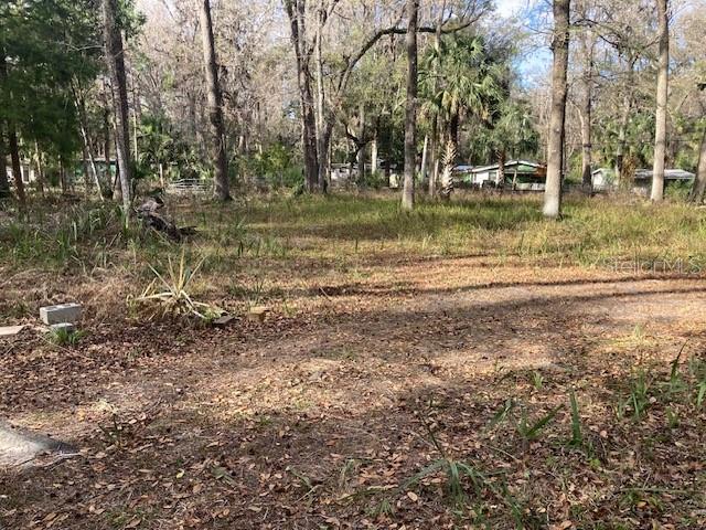 2456 N JUNGLE CAMP ROAD UNIT 1