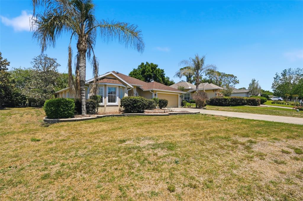 A single-story house with a tan exterior, a brown roof, and a palm tree — 5013 HARBOR HEIGHTS, LADY LAKE, FL