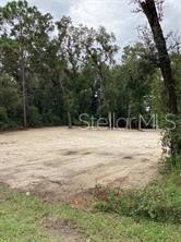 A cleared, sandy rectangular lot is surrounded by mature trees and dense vegetation — SMALLMAN STREET, WEBSTER, FL