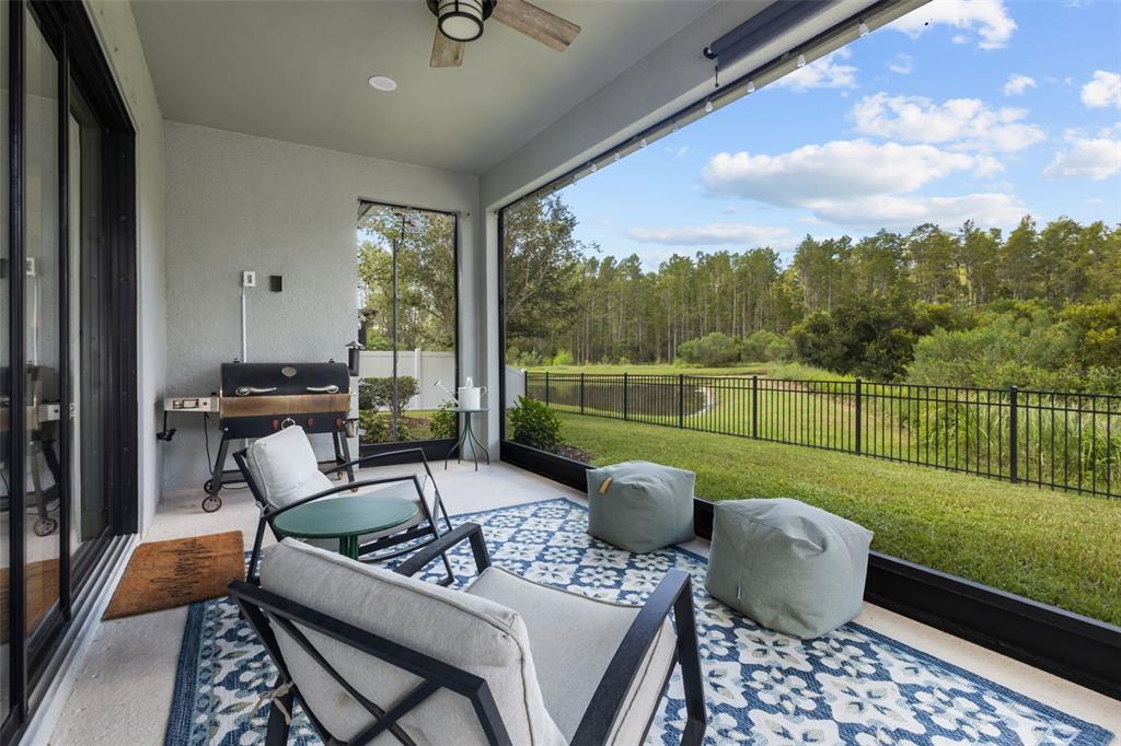 A screened-in patio features outdoor furniture, a grill, and a view of a grassy yard — 15170 AVILES PARKWAY, ODESSA, FL