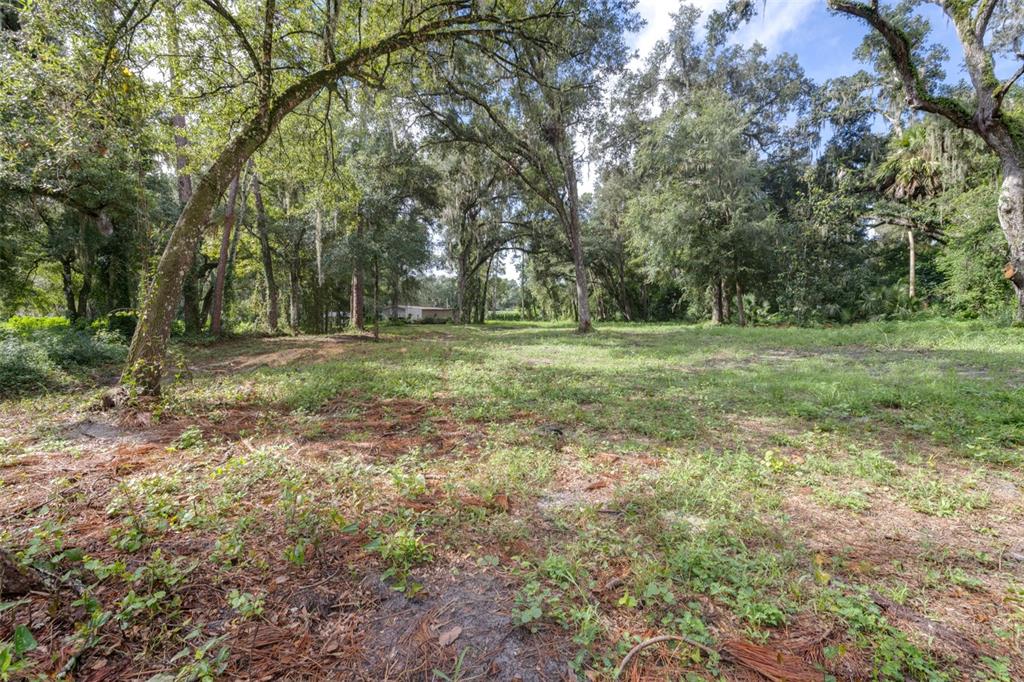 0 SE 124TH AVENUE, WEBSTER, FL — photo 3 of 10
