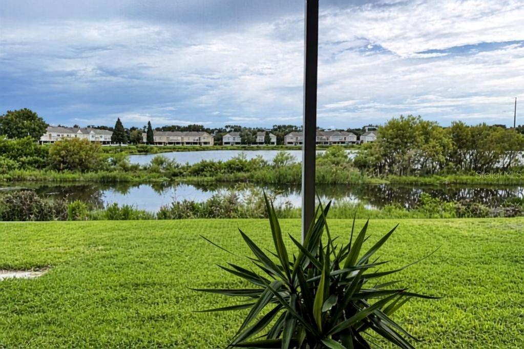 A two-story townhouse exterior features a two-car garage, a concrete driveway, and a front entrance — 10155 HAVERHILL RIDGE DRIVE, RIVERVIEW, FL