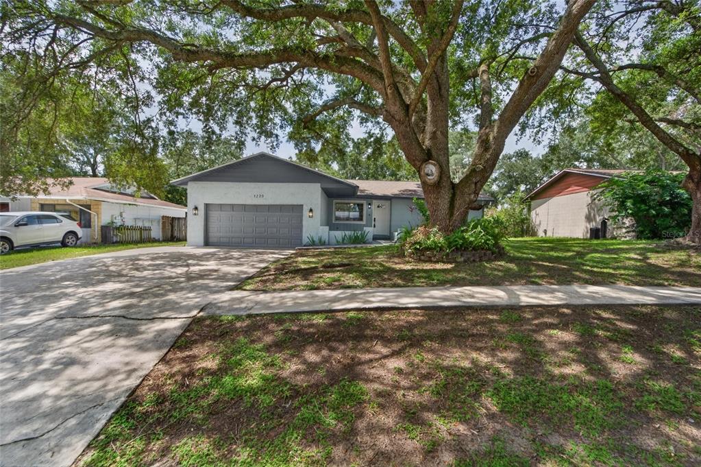 1229 OAK VALLEY DRIVE, SEFFNER, FL — photo 4 of 30