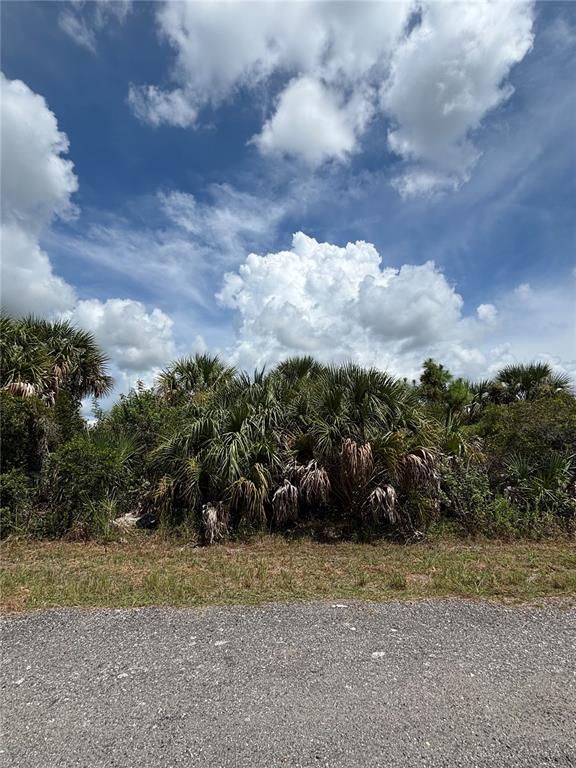 629 DOLOND STREET SW, PALM BAY, FL — photo 3 of 6