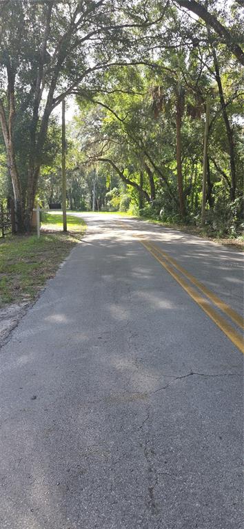 A paved road with double yellow lines winds through a canopy of mature trees — 407 RAULERSON ROAD, SEVILLE, FL