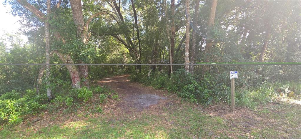 A dirt path leads into a wooded area with a small sign on a wooden post — 407 RAULERSON ROAD, SEVILLE, FL