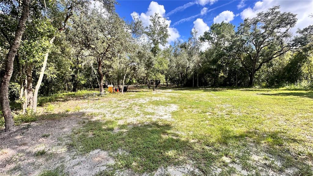 A large pile of brush and yard debris sits in a wooded, grassy lot — 14535 LITTLE RANCH ROAD, SPRING HILL, FL