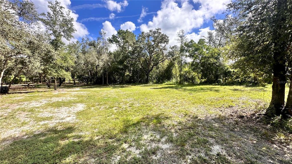 A large, grassy backyard features mature trees and a wooden fence along the back perimeter — 14535 LITTLE RANCH ROAD, SPRING HILL, FL