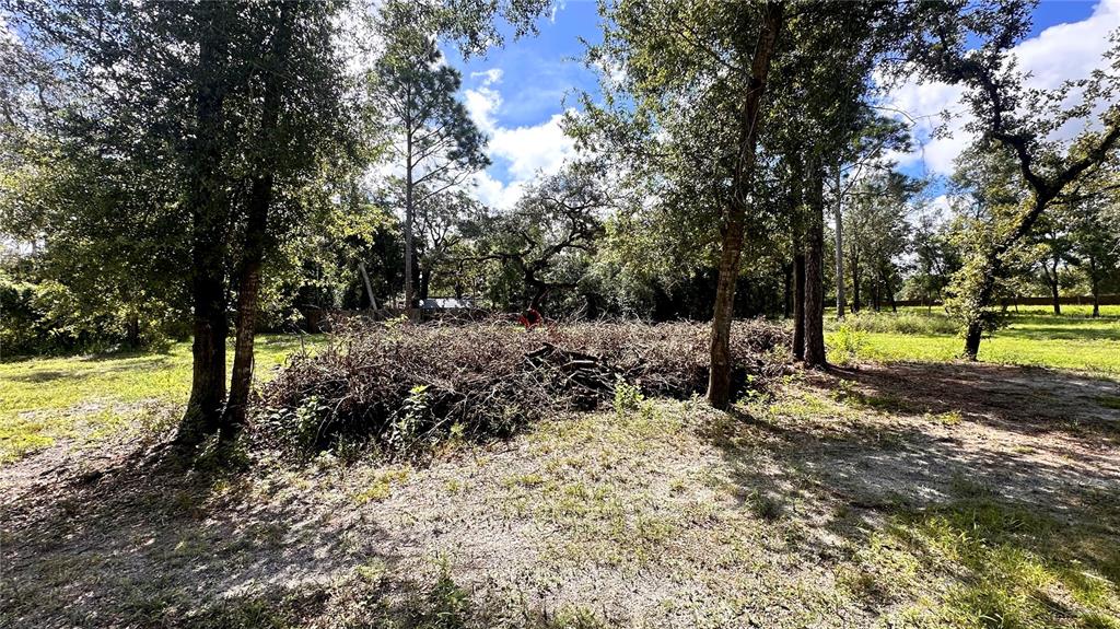 A grassy, partially shaded lot features a brown wooden fence along the back perimeter — 14535 LITTLE RANCH ROAD, SPRING HILL, FL