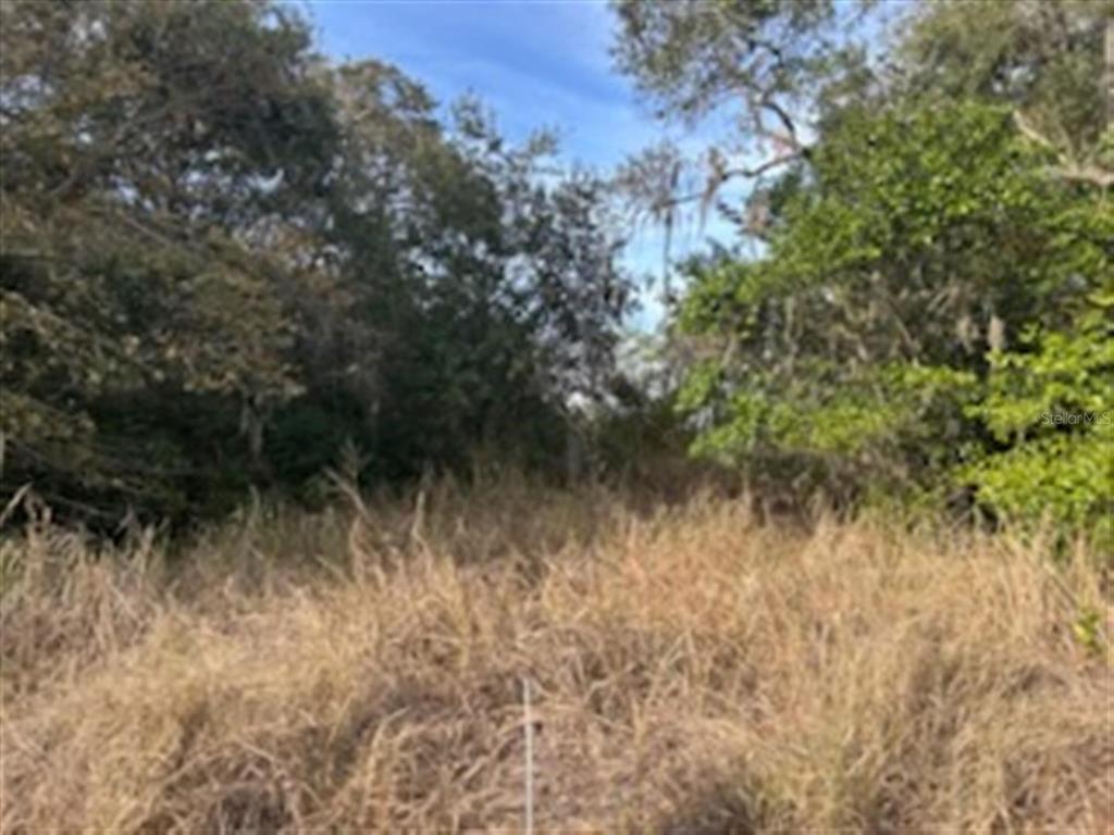 A view of a grassy, undeveloped lot surrounded by mature trees and vegetation — SUNSET TRAIL, BABSON PARK, FL