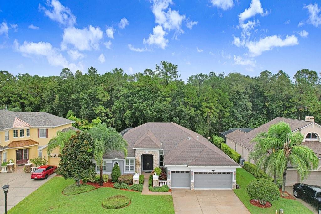 An aerial view of a single-story suburban house with a two-car garage and wooded backyard — 16116 IVY LAKE DRIVE, ODESSA, FL