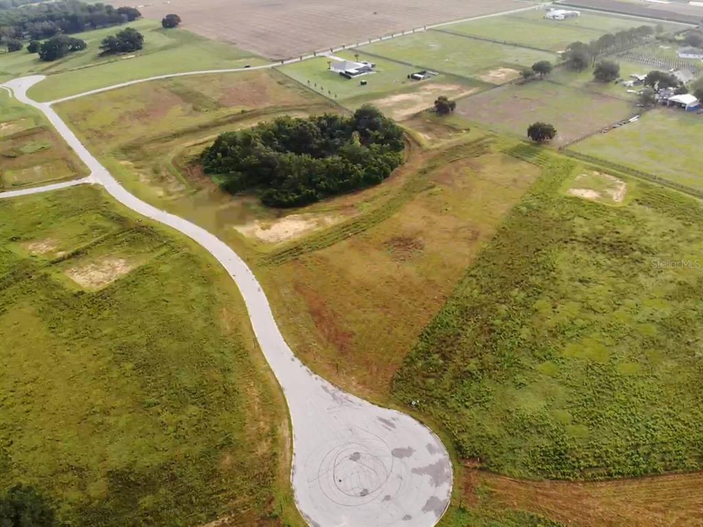 An aerial view shows a paved cul-de-sac surrounded by undeveloped grassy lots and trees — 10023 WHITE EGRET DRIVE, THONOTOSASSA, FL