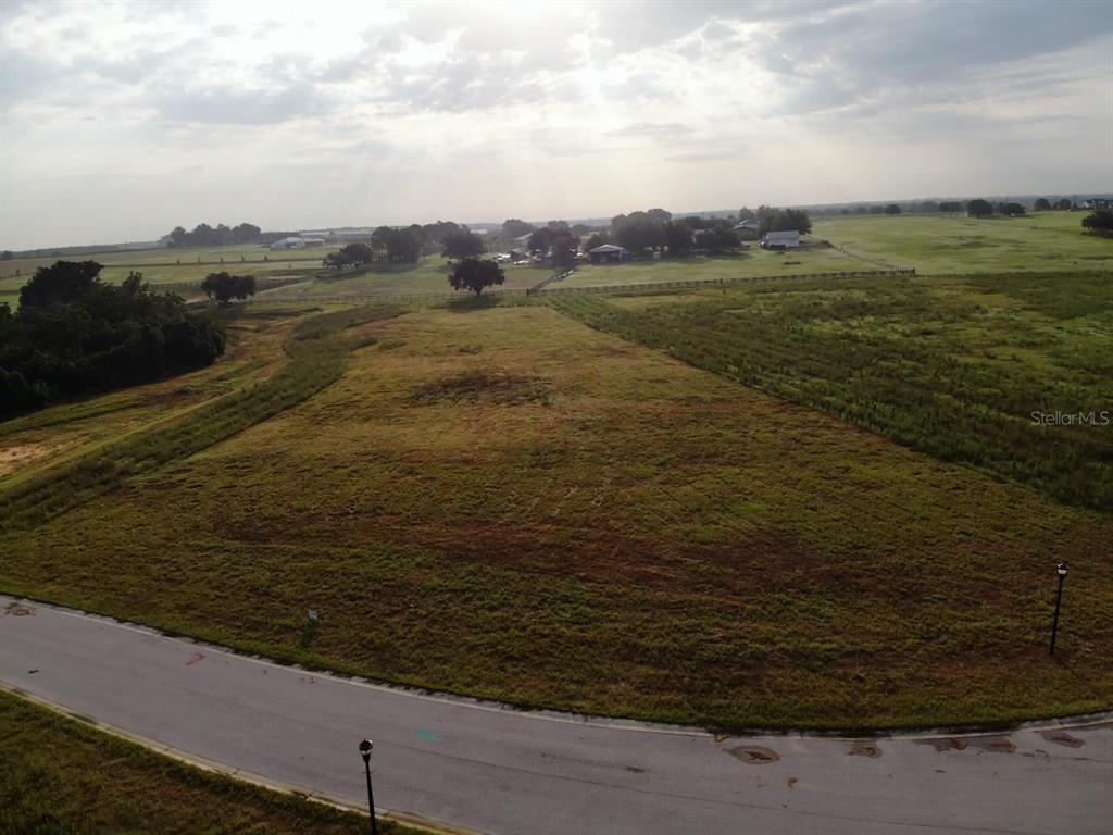 An aerial view shows a vacant, grassy lot bordering a paved road — 10023 WHITE EGRET DRIVE, THONOTOSASSA, FL