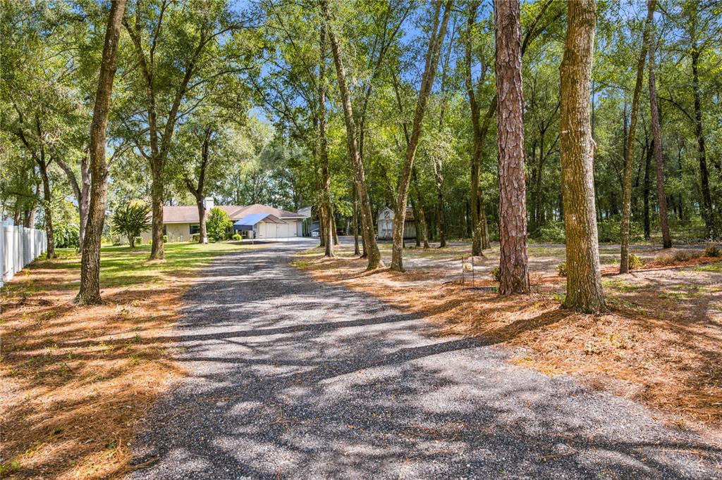 3985 S PLACID AVENUE, INVERNESS, FL — photo 3 of 30