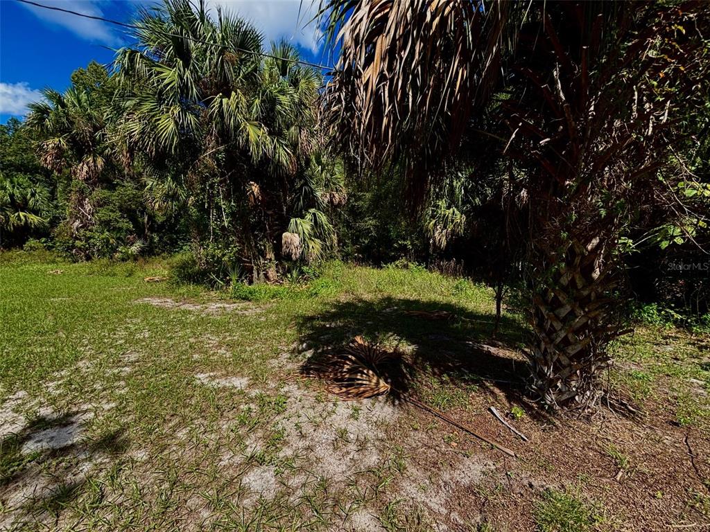 404 GROVE STREET, MELROSE, FL — photo 5 of 24