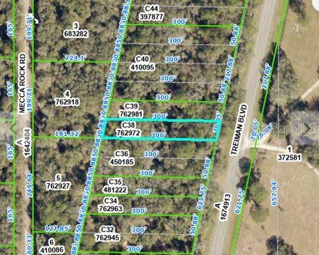 This is a property map showing a rectangular parcel of land highlighted in blue — TREIMAN BOULEVARD, WEBSTER, FL