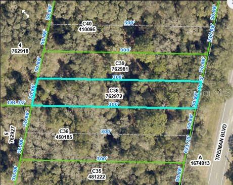 This aerial map shows a rectangular land parcel highlighted in blue among surrounding wooded lots — TREIMAN BOULEVARD, WEBSTER, FL